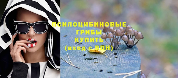 а пвп мука Бутурлиновка