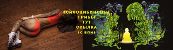 ECSTASY Армянск