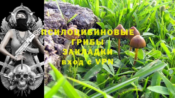 крисы Арсеньев