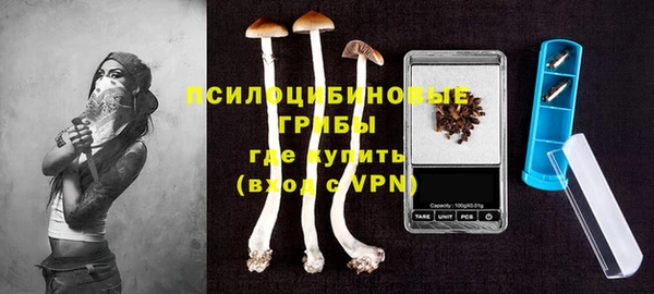 крисы Арсеньев