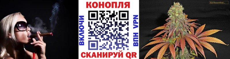 Канабис OG Kush продажа наркотиков Гвардейск